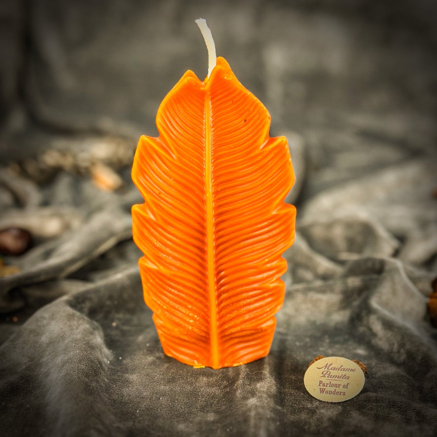 Plant Spirit Candle Spell Kit - Garden Blessing & Nature Magic – Orange (Breakthroughs) Candle Spell Kit