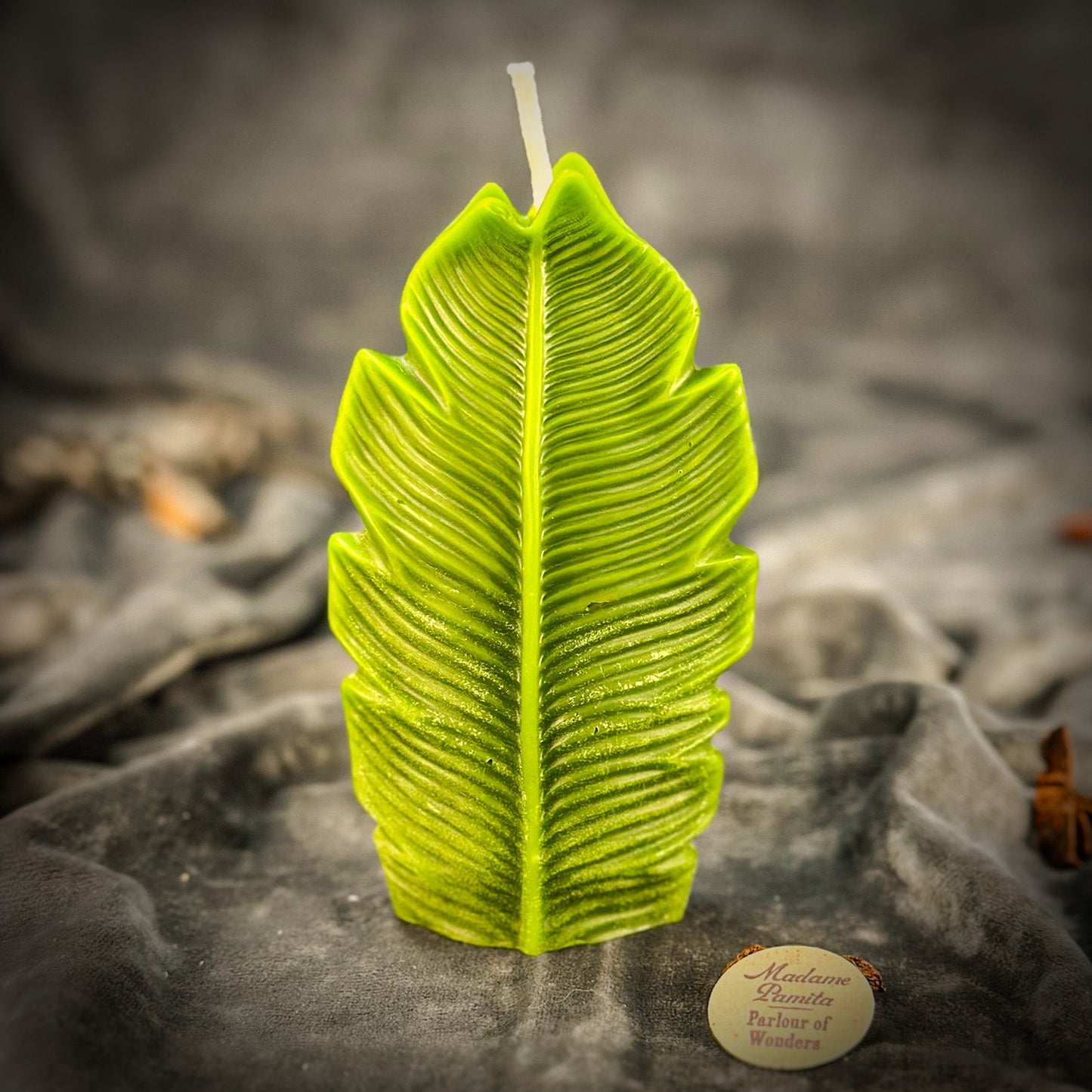 Plant Spirit Candle Spell Kit - Garden Blessing & Nature Magic – Green (Abundance or Growth) Candle Spell Kit