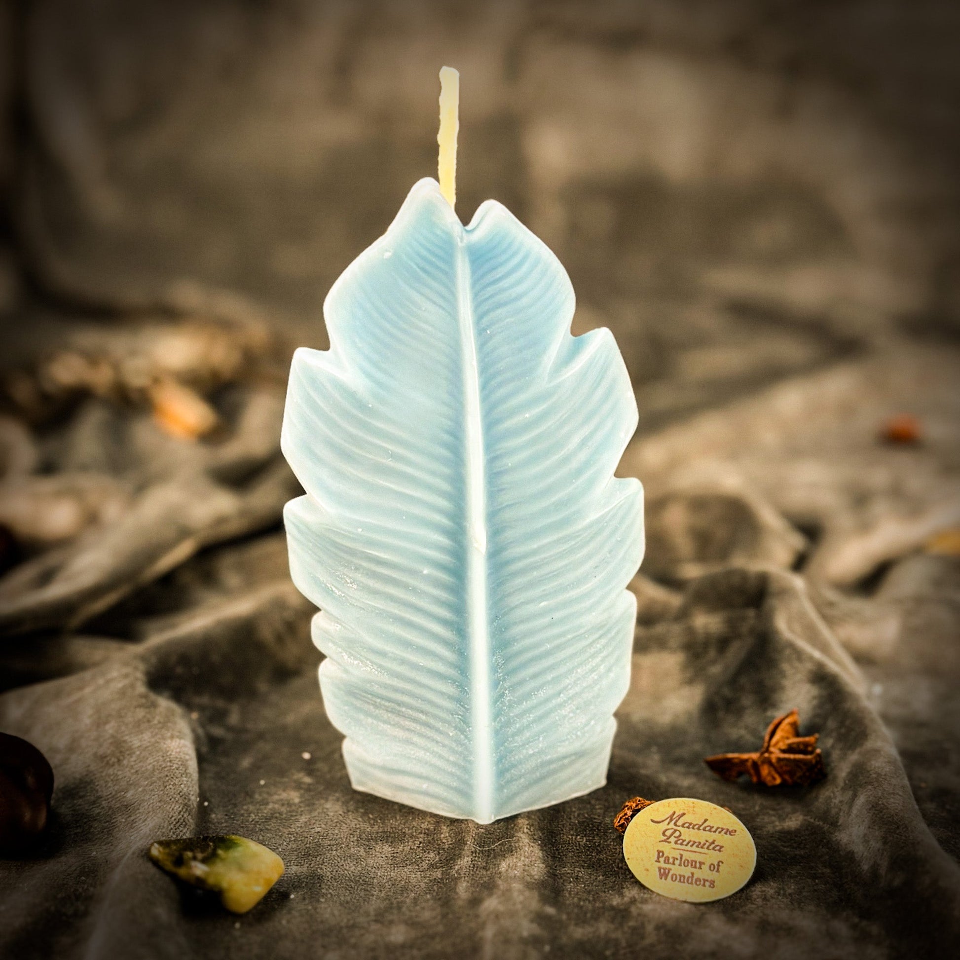 Plant Spirit Candle Spell Kit - Garden Blessing & Nature Magic – Blue (Plant Familiar Communication) Candle Spell Kit