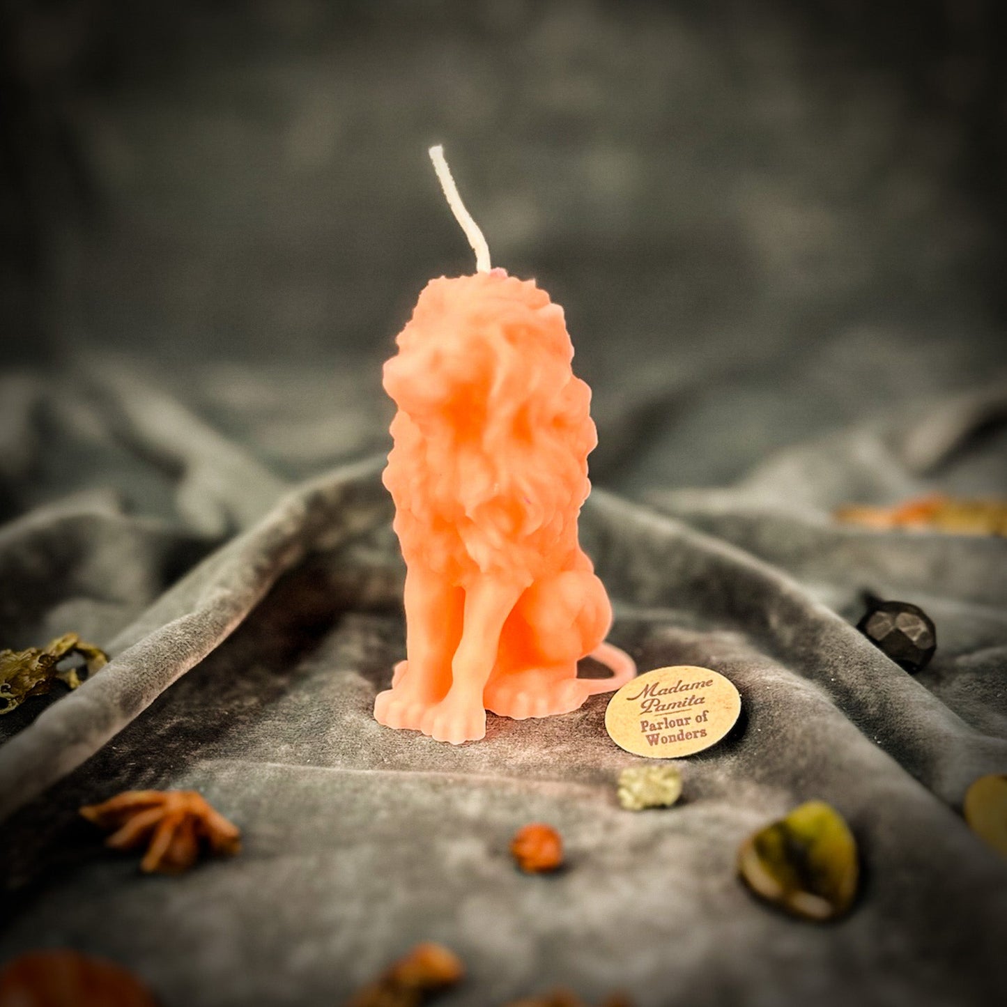 Lion Candle Spell Kit - Courage & Leadership – Pink (Friendship) Candle Spell Kit