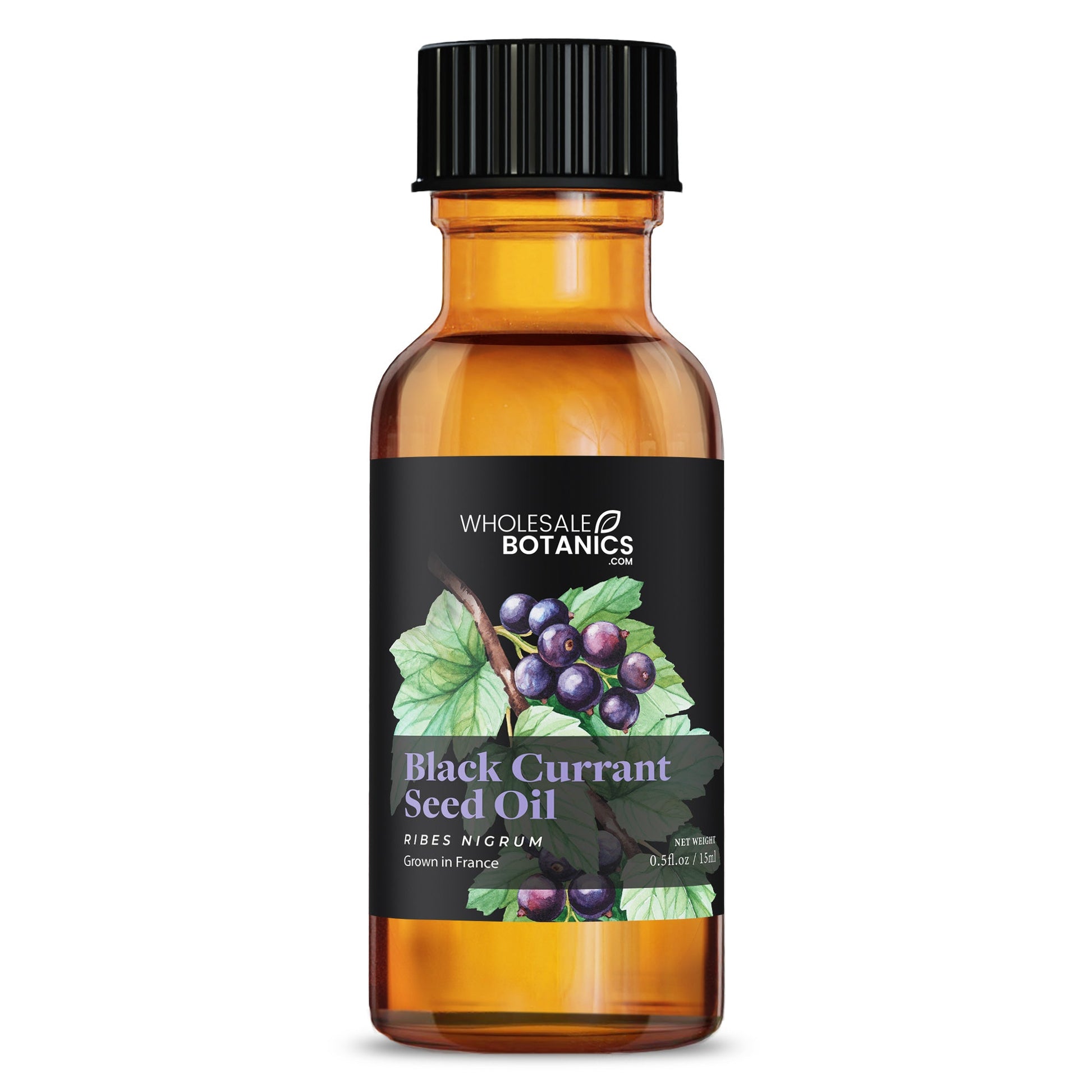 Black Currant Seed Oil – .5 oz Carrier_Oil