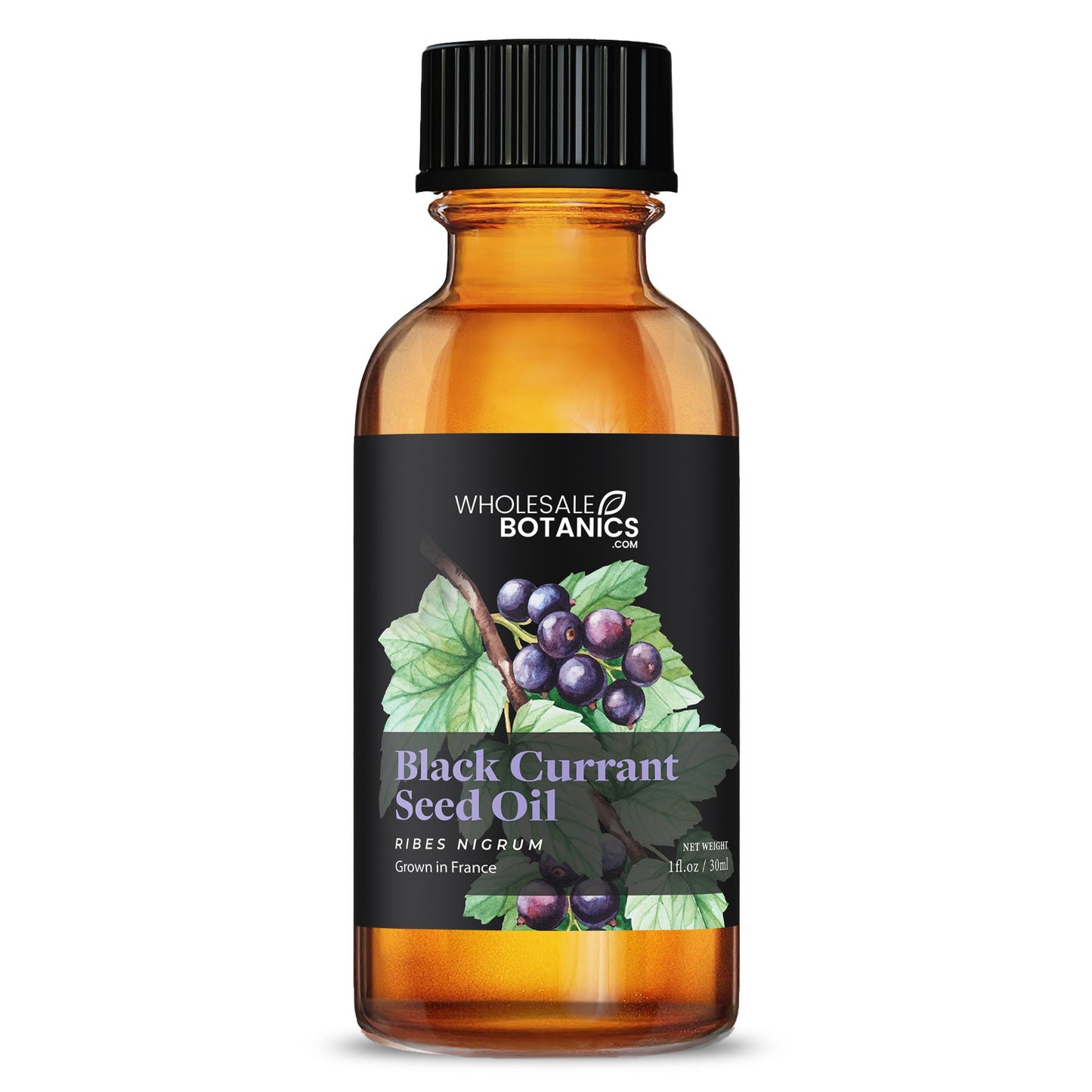 Black Currant Seed Oil – 1 oz Carrier_Oil