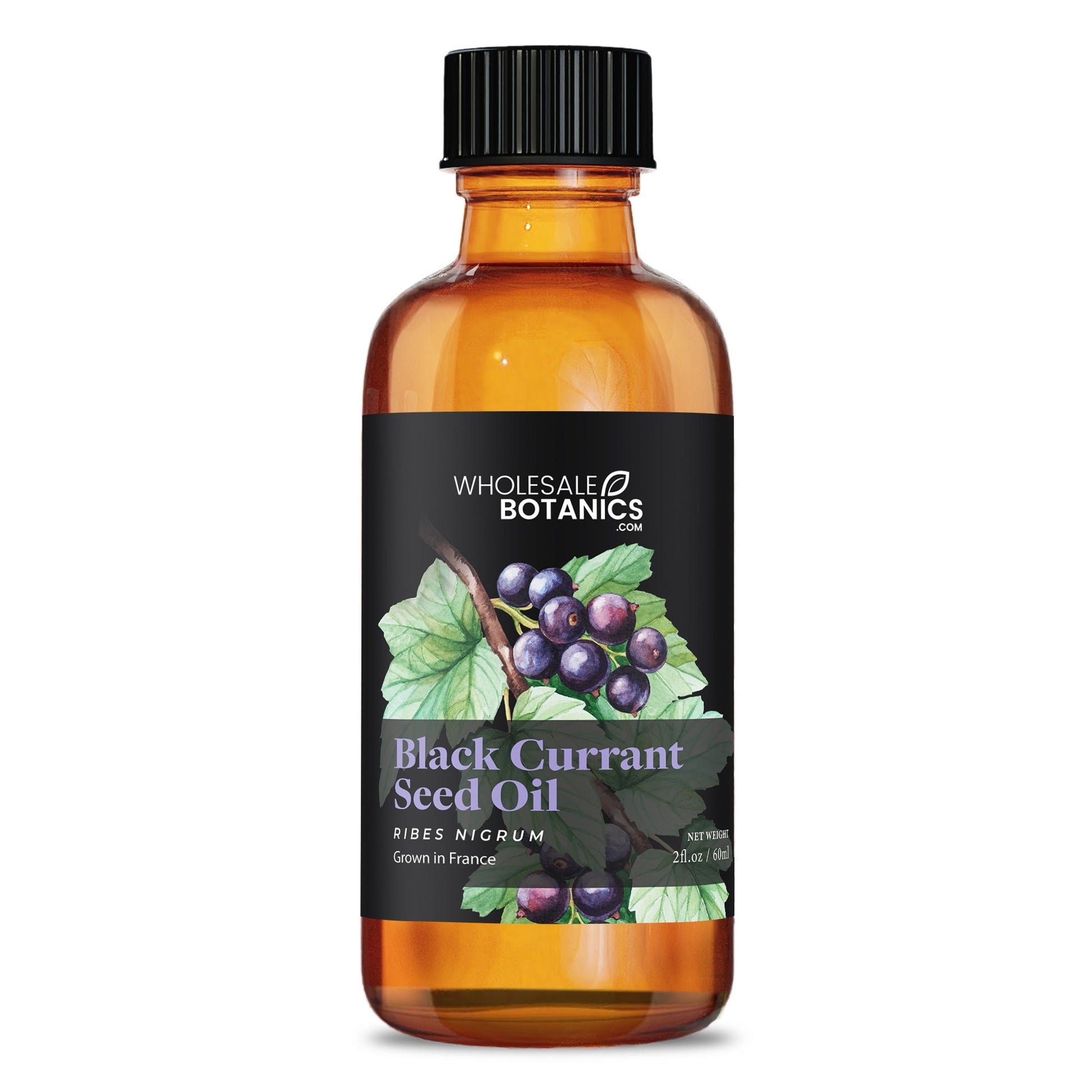 Black Currant Seed Oil – 2 oz Carrier_Oil