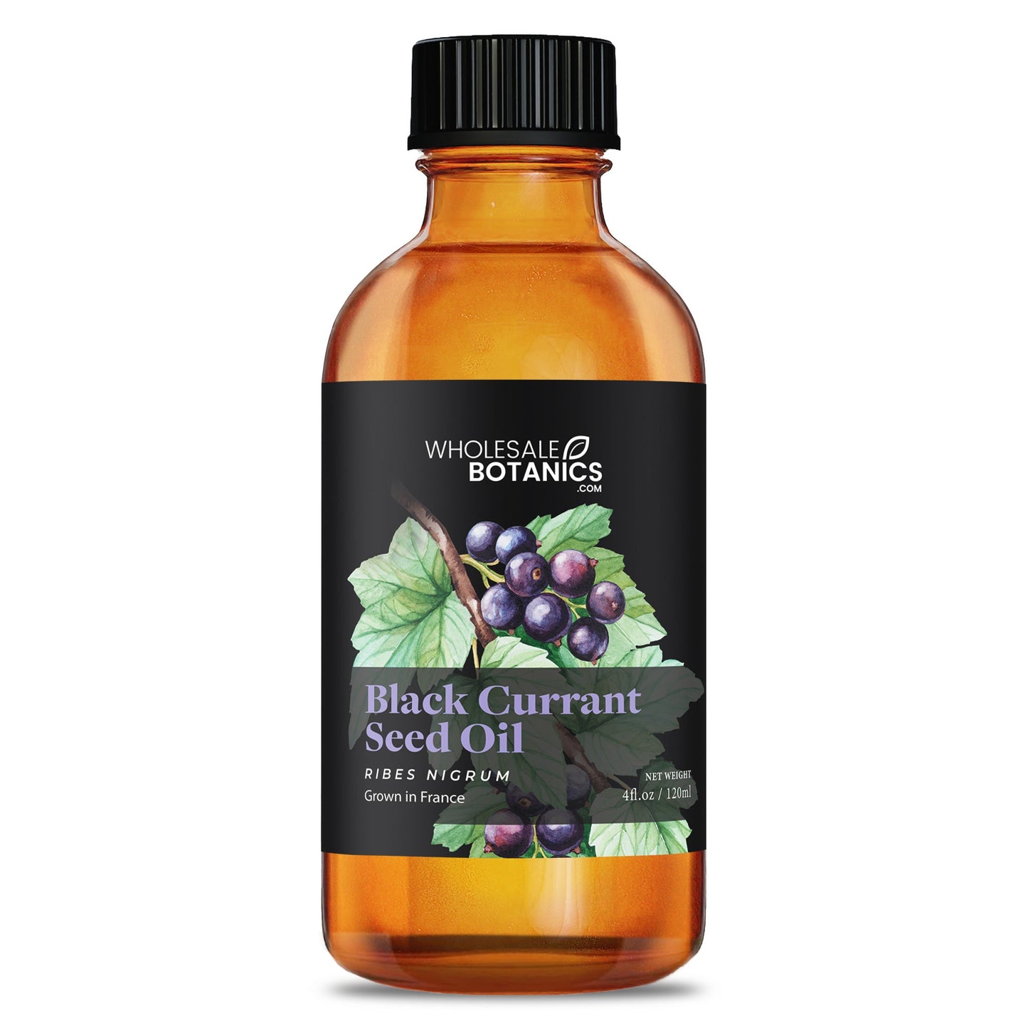 Black Currant Seed Oil – 4 oz Carrier_Oil