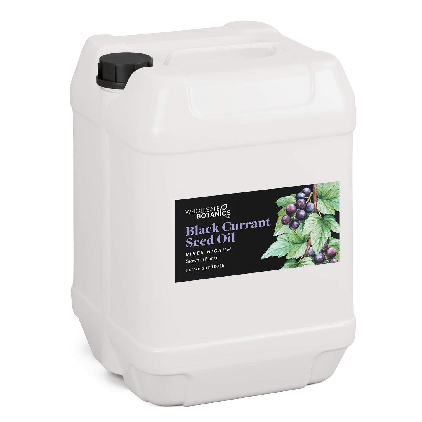 Black Currant Seed Oil – 100 lbs Carrier_Oil