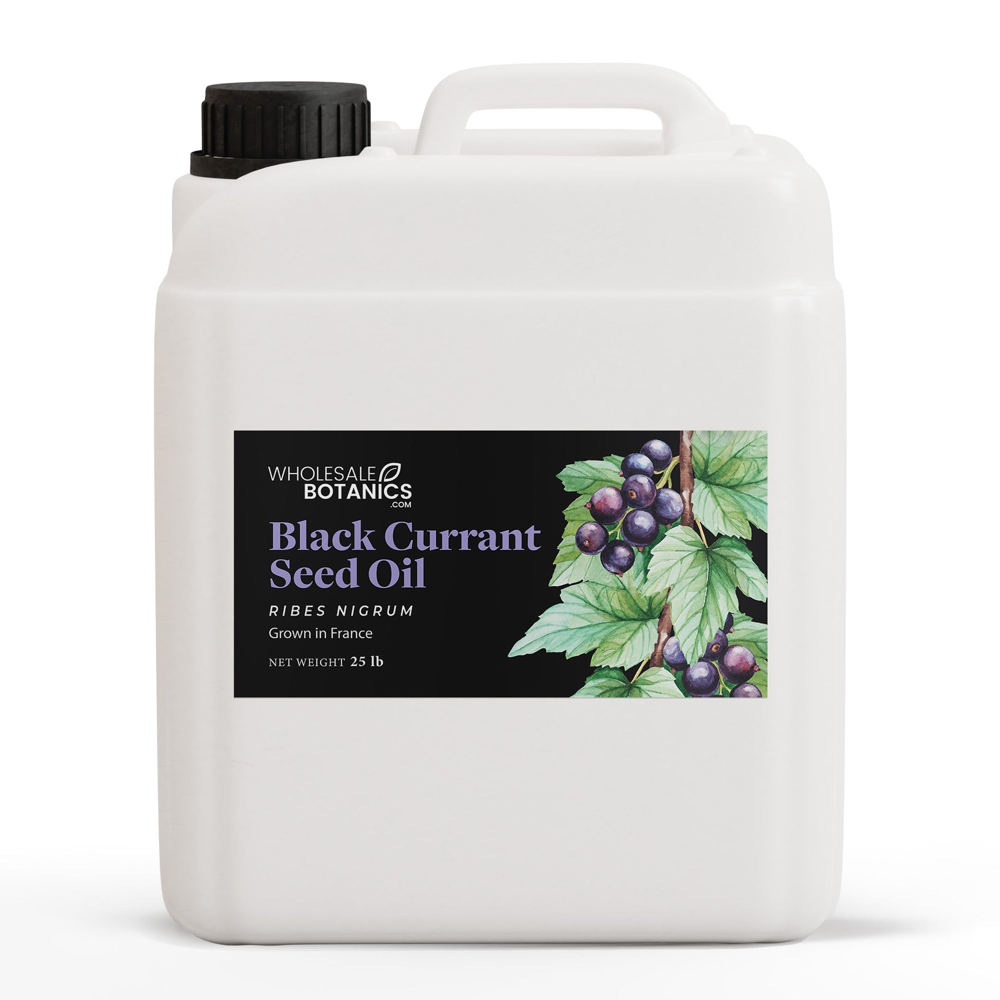 Black Currant Seed Oil – 25 lbs Carrier_Oil