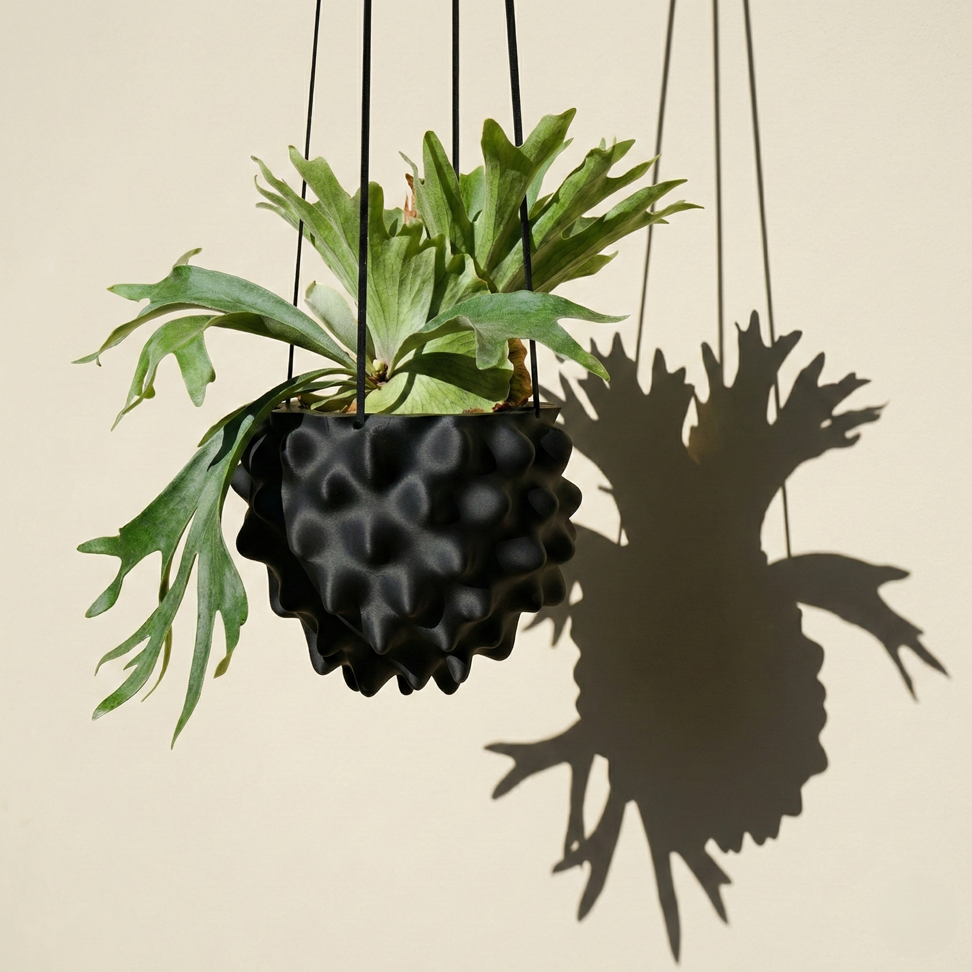 The Creature Orb Hanging Planter Pot With Drainage – Black Pots & Planters
