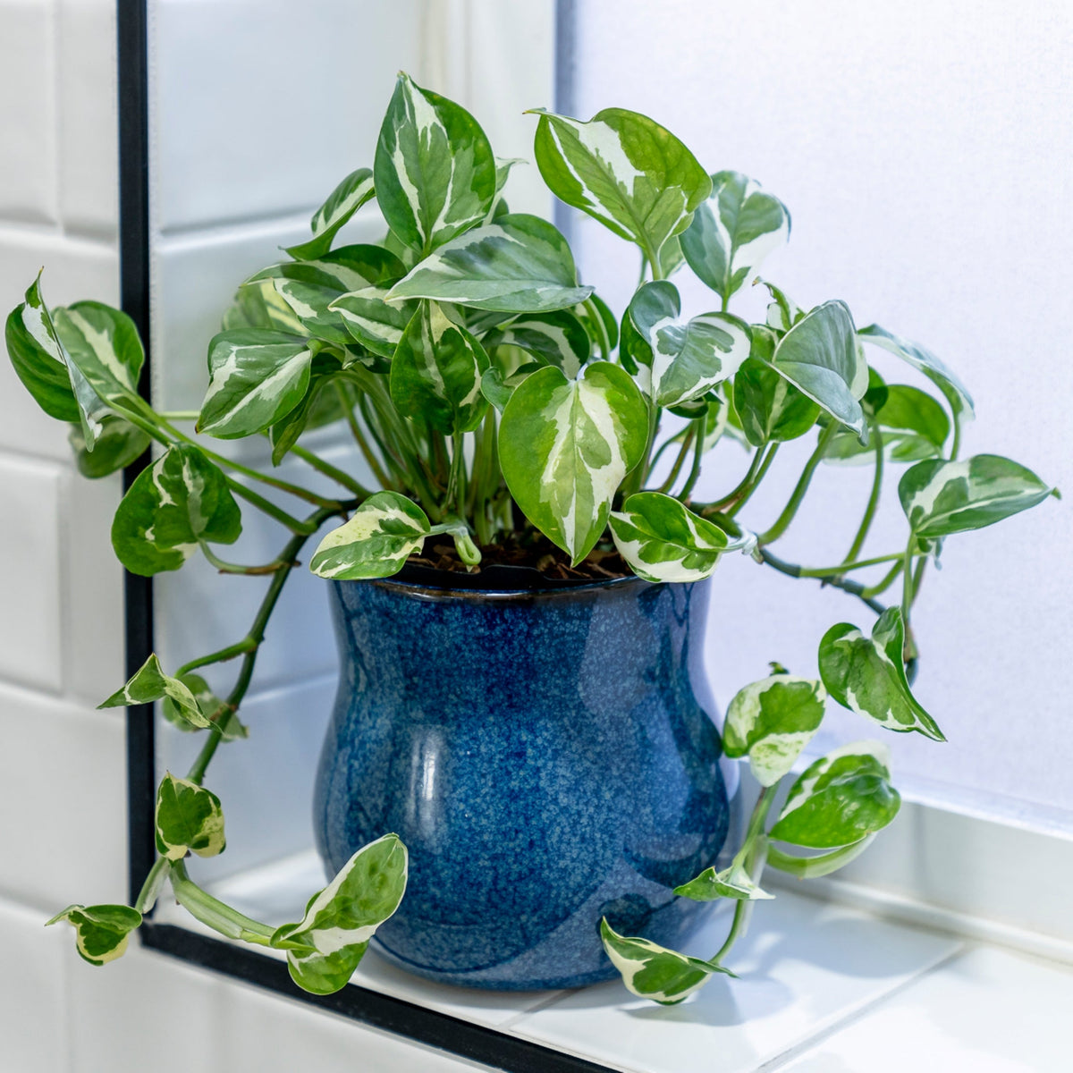 River Blue Ceramic Plant Pot with Removable Liner