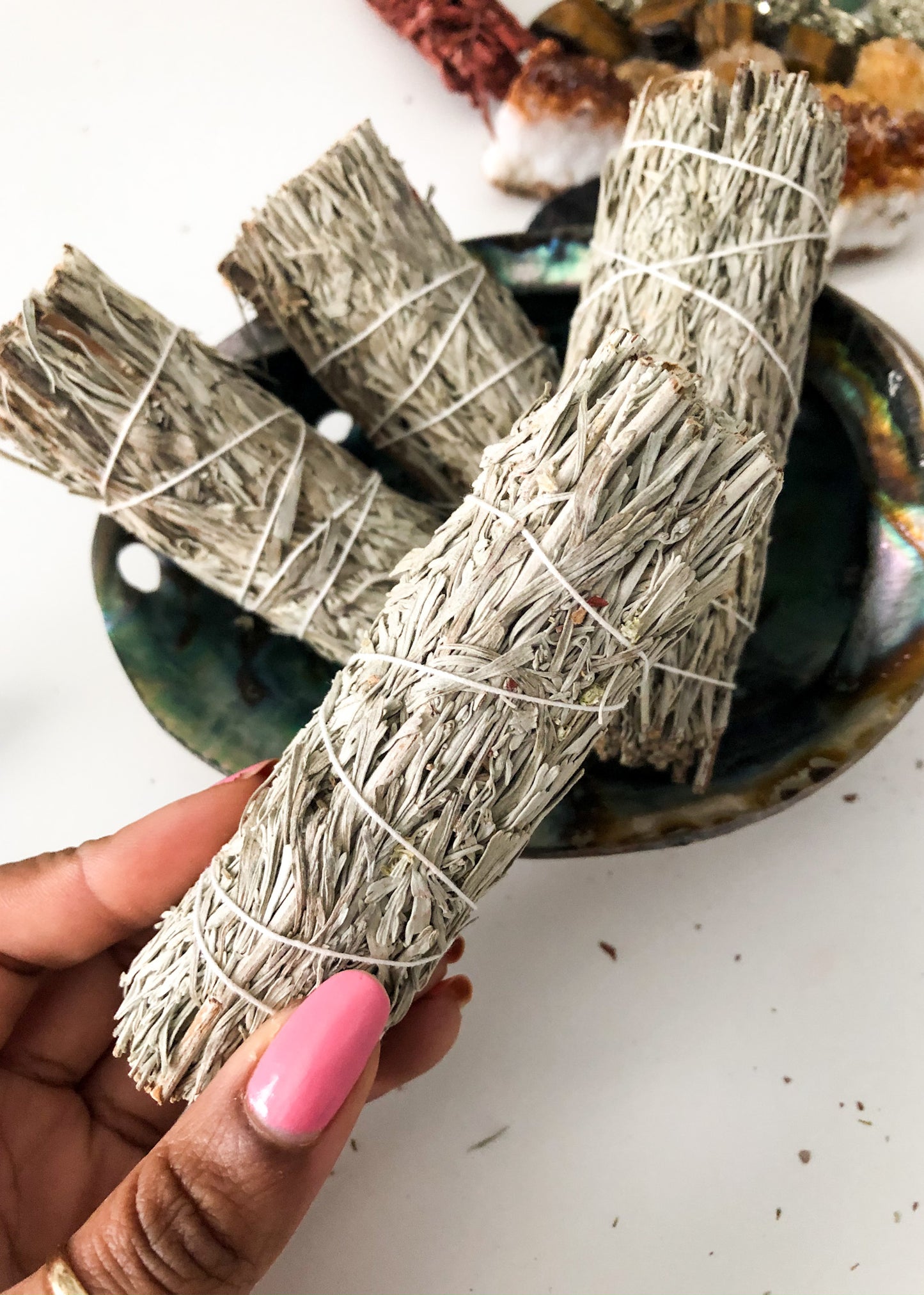 Blue Sage - 4" Sustainably Harvested