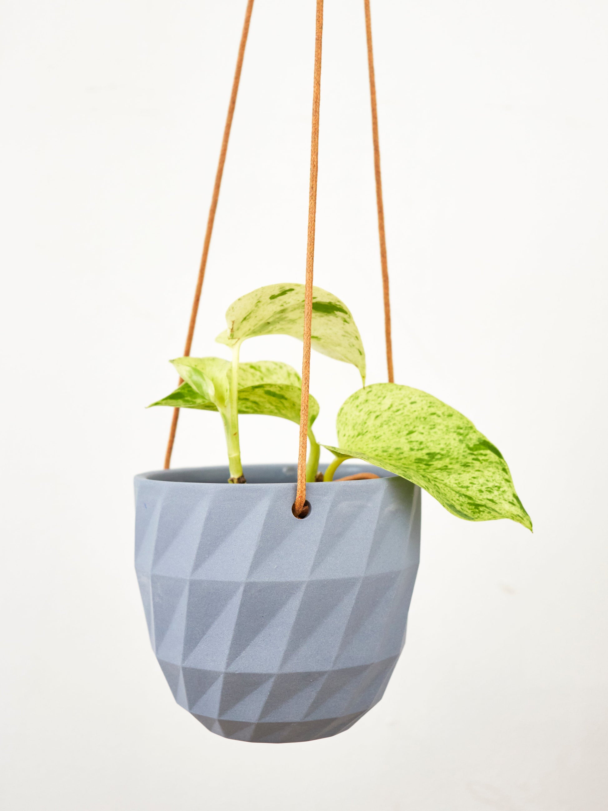 Virago Modern Hanging Planter- Grid – plant pot