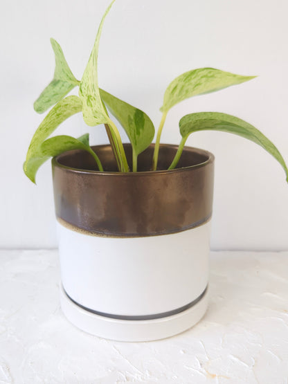 Bronze White Ceramic Plant Pot and Saucer – plant pot