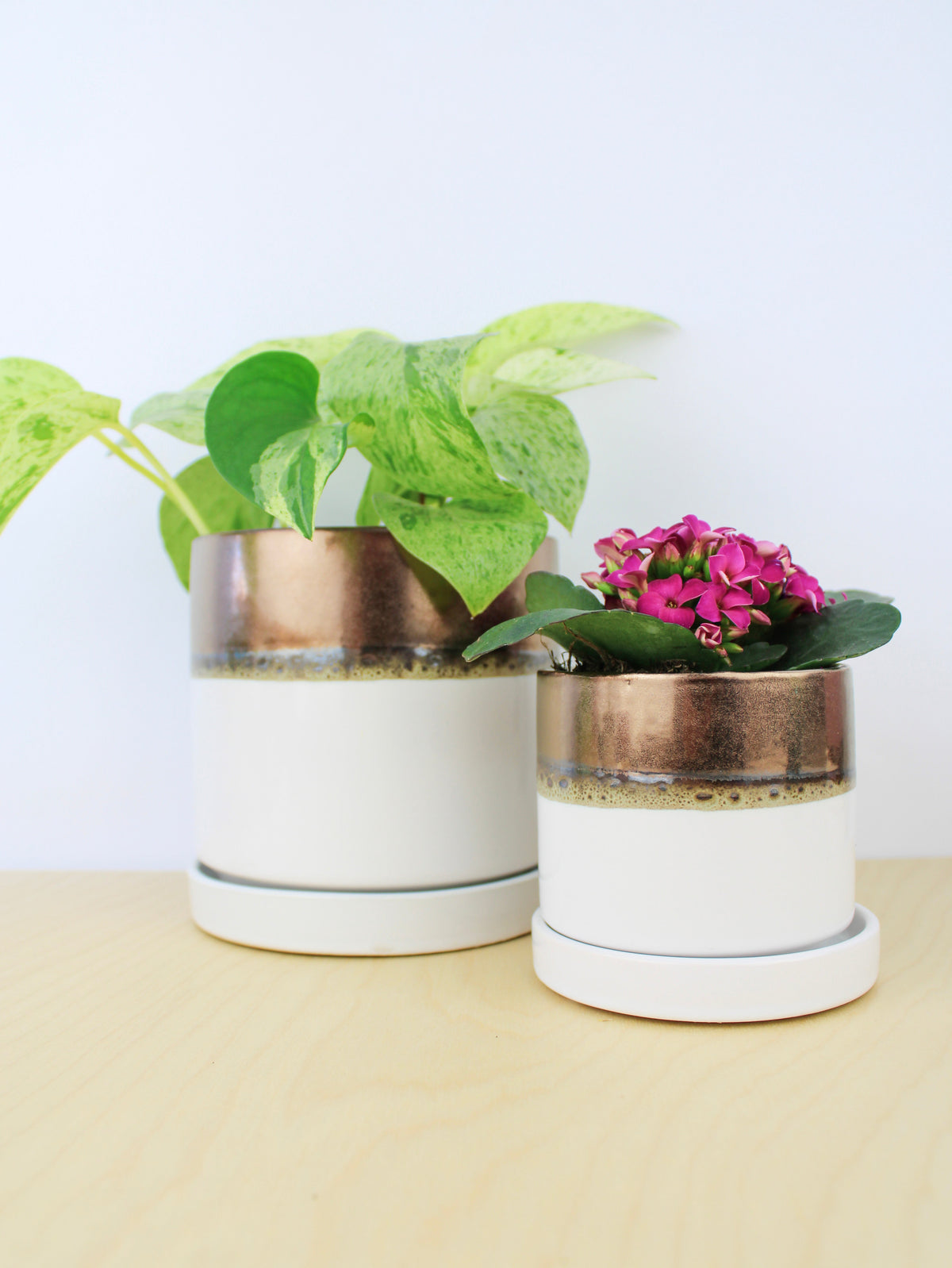 Bronze White Ceramic Plant Pot and Saucer – plant pot