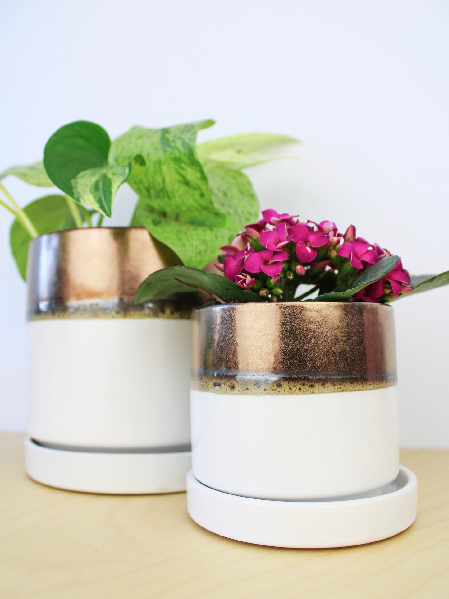 Bronze White Ceramic Plant Pot and Saucer – plant pot