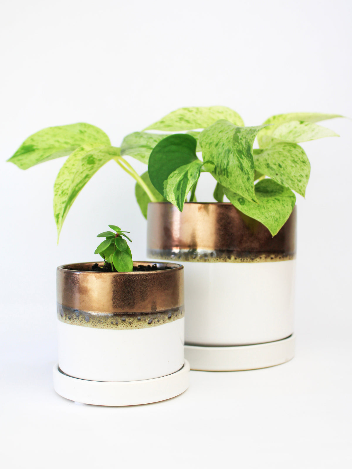 Bronze White Ceramic Plant Pot and Saucer – plant pot