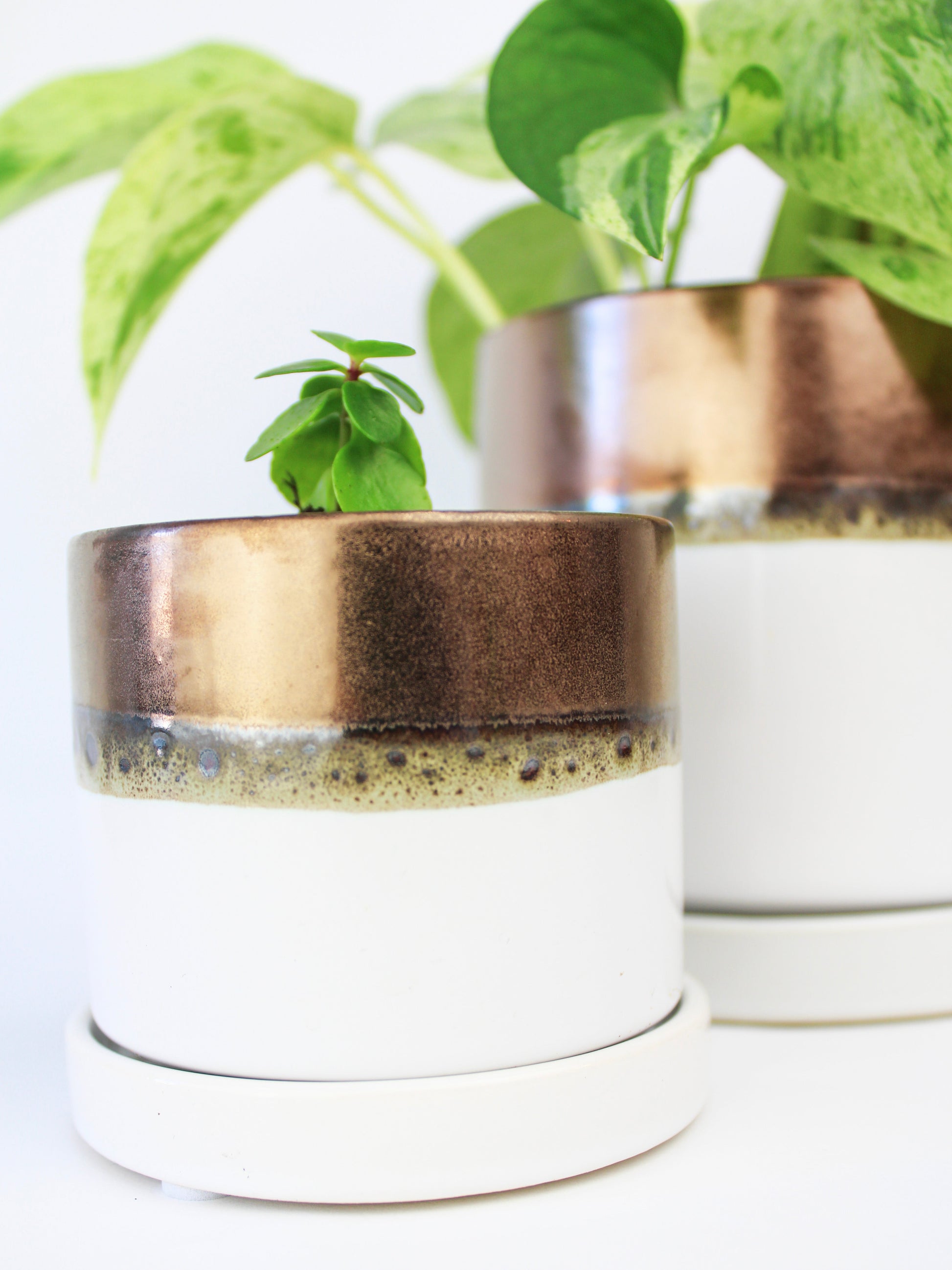 Bronze White Ceramic Plant Pot and Saucer – plant pot