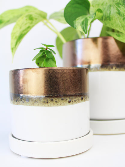 Bronze White Ceramic Plant Pot and Saucer – plant pot