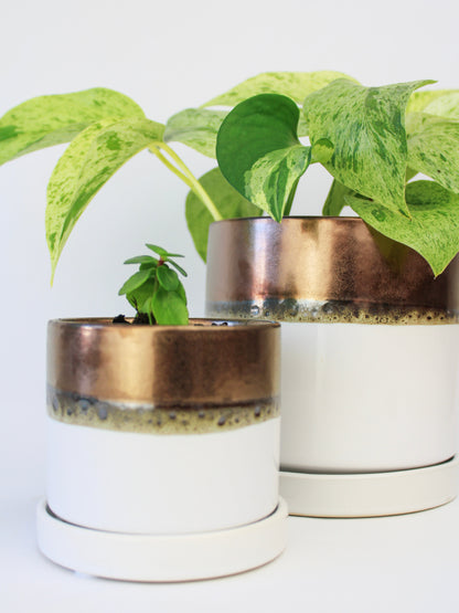 Bronze White Ceramic Plant Pot and Saucer – plant pot