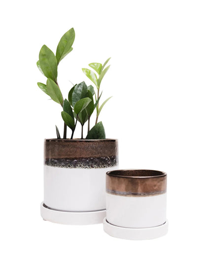 Bronze White Ceramic Plant Pot and Saucer – plant pot