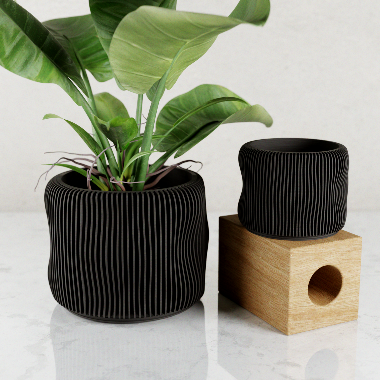 BUBBLY Planter – Planter