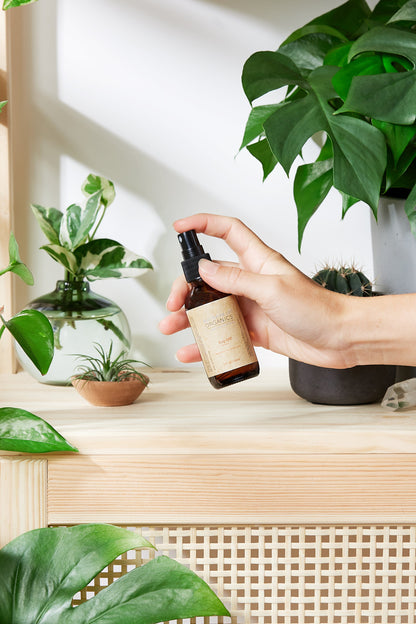 Organic Bug Spray / Mosquito Repellant