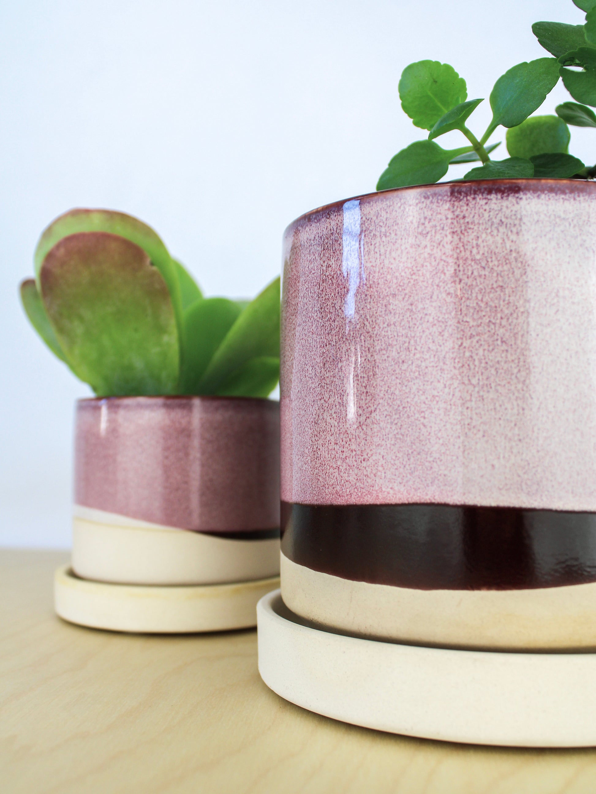 ceramic plant pot saucers Burgundy Ceramic Plant Pot and Saucer