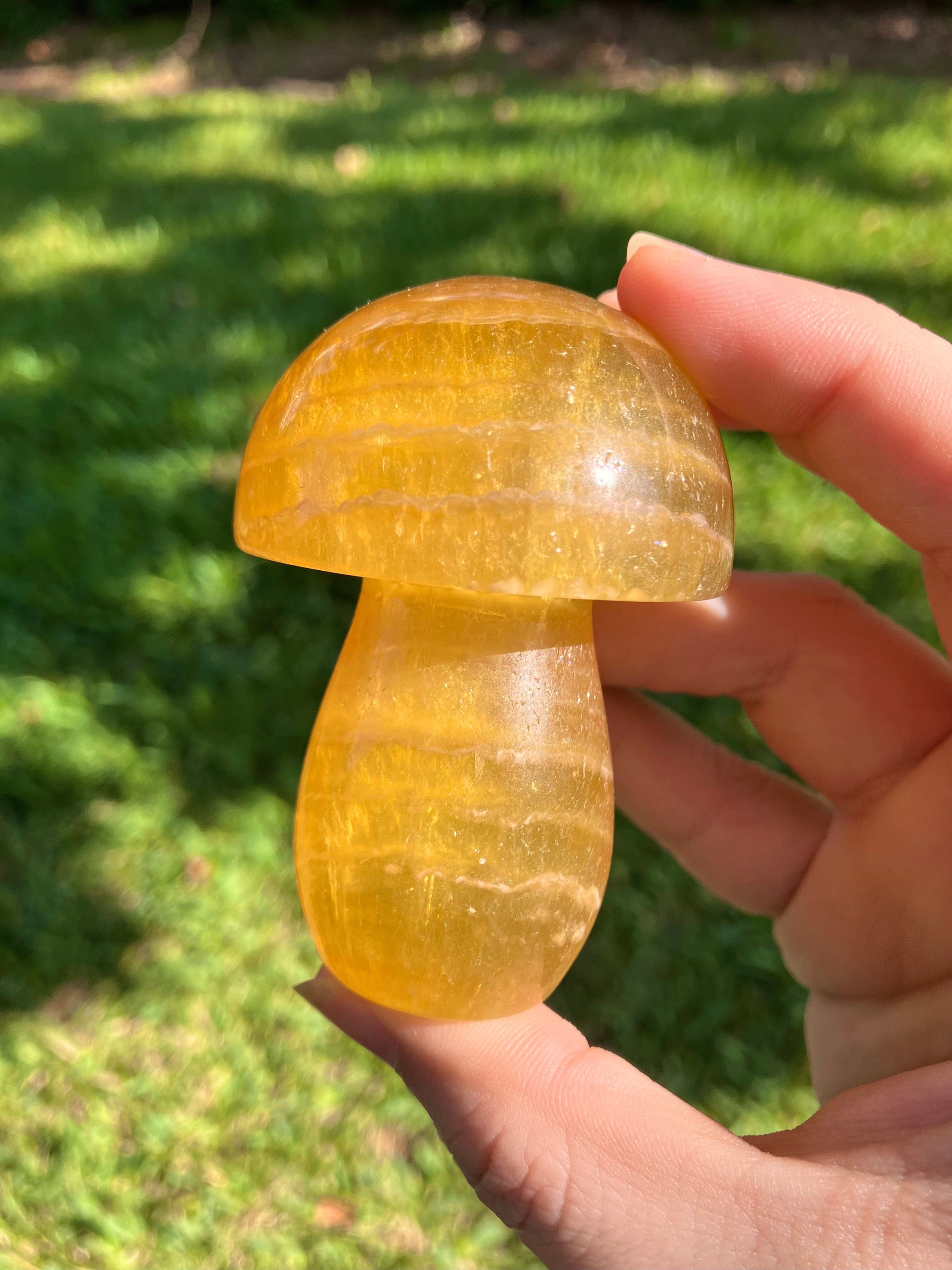 Fluorite Mushroom –