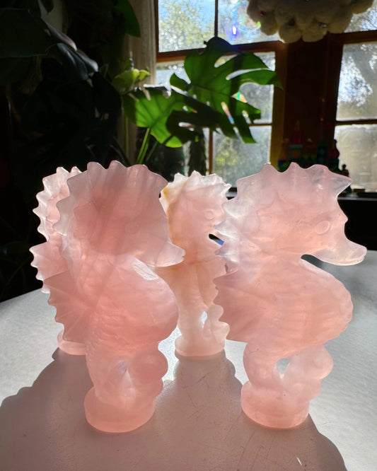 Rose Quartz Seahorse – Animal Carving