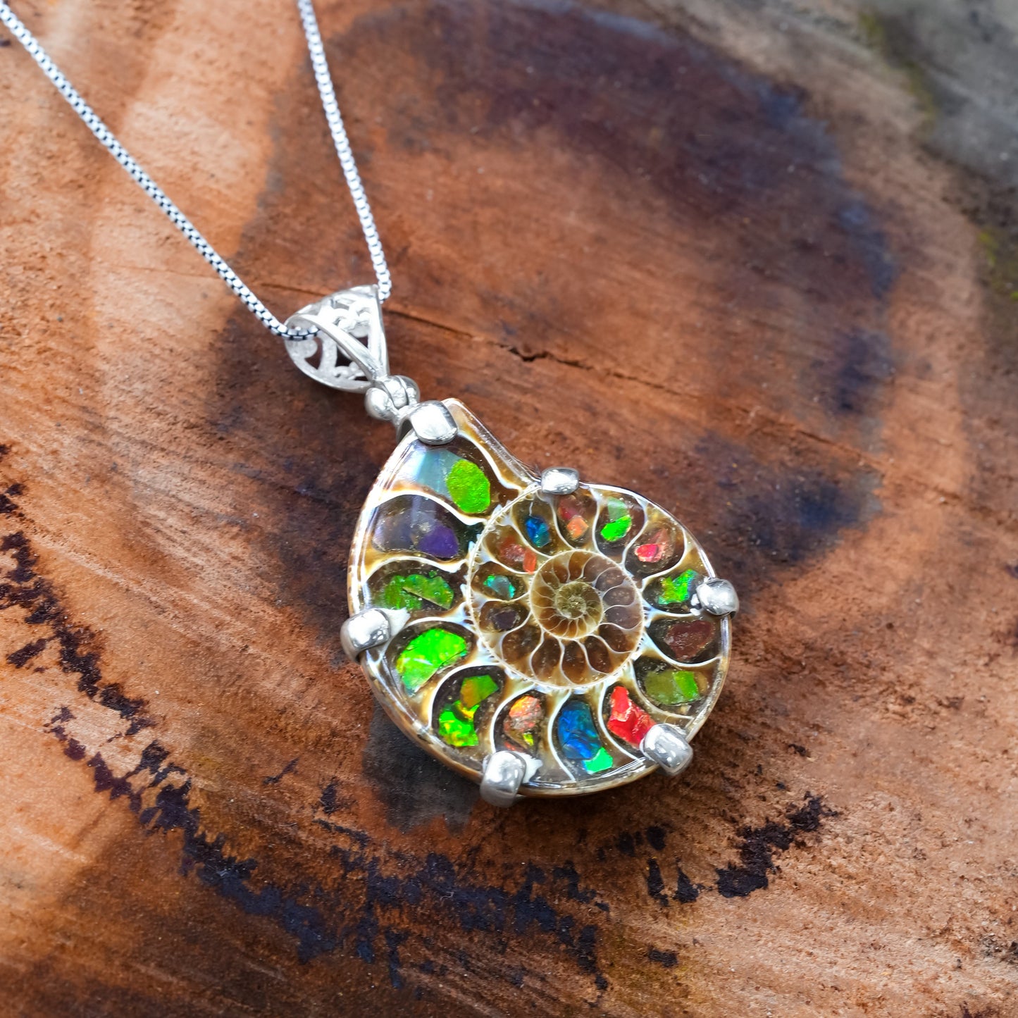 Ammonite with Ammolite Inlay in Sterling Silver