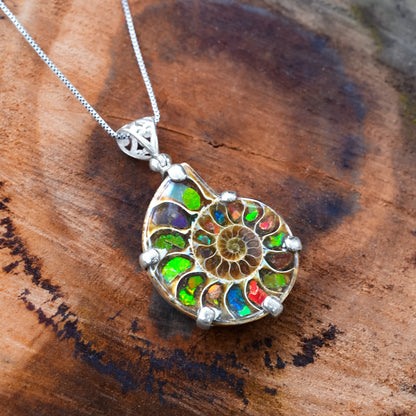 Ammonite with Ammolite Inlay in Sterling Silver