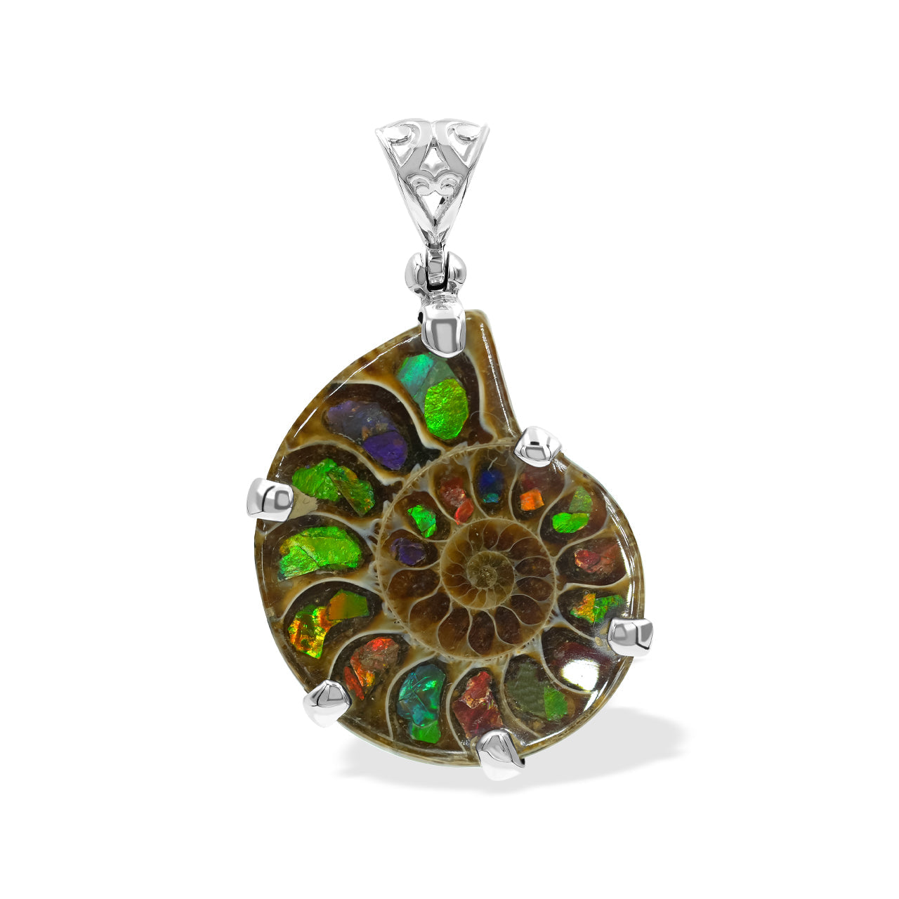 Ammonite with Ammolite Inlay in Sterling Silver