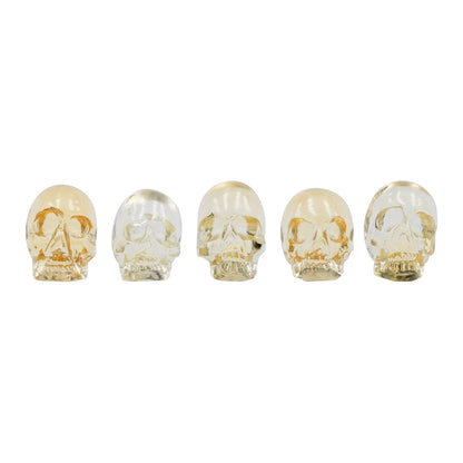 Starborn Citrine Mini Skull Carving - 1 Piece – RP - Regular Price