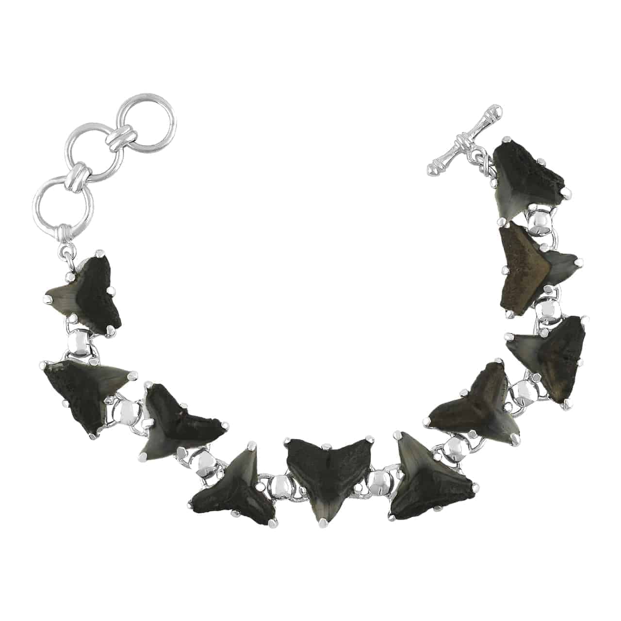 Starborn Fossil Shark Tooth Bracelet in Sterling Silver – RP - Regular Price