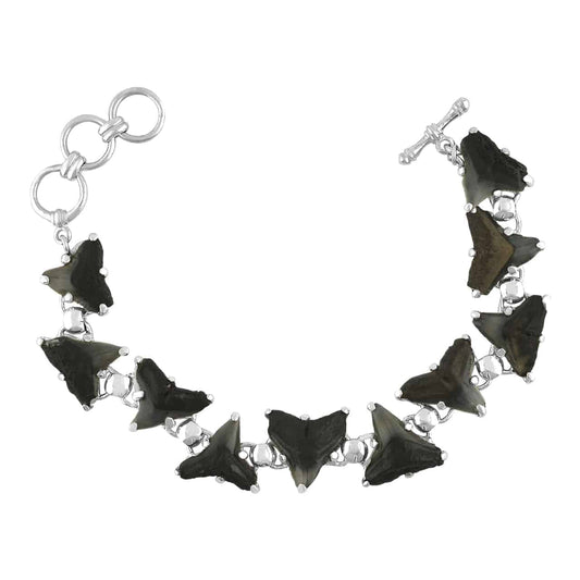 Starborn Fossil Shark Tooth Bracelet in Sterling Silver