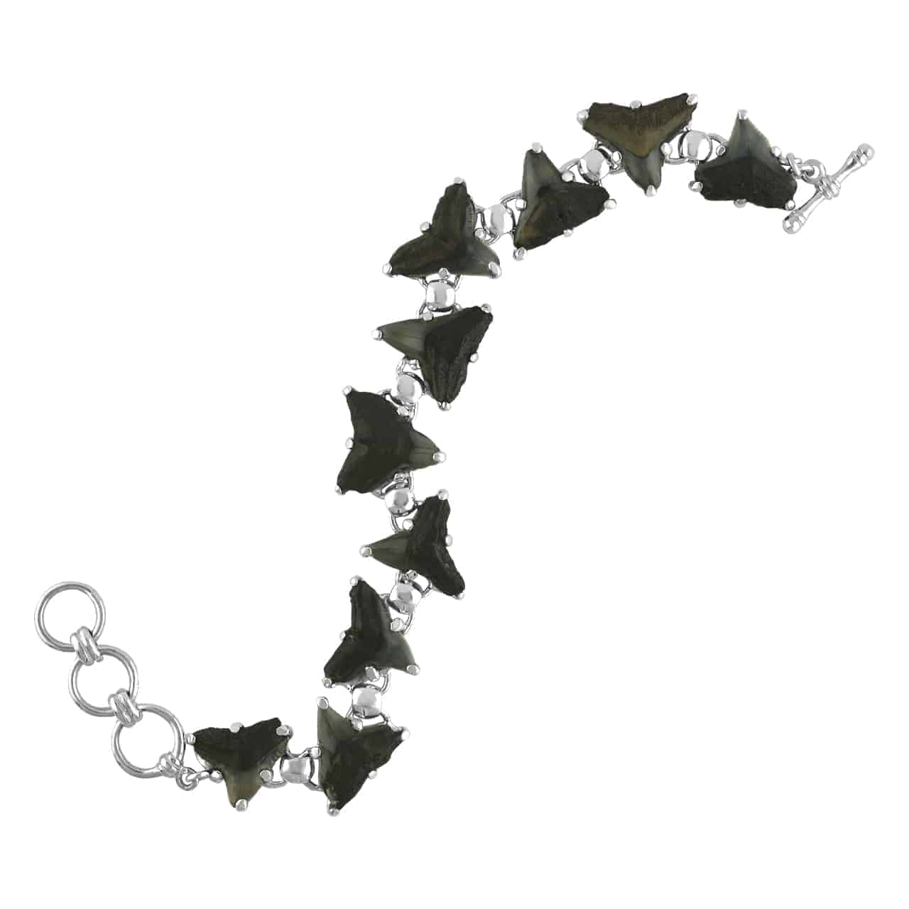 Starborn Fossil Shark Tooth Bracelet in Sterling Silver – RP - Regular Price