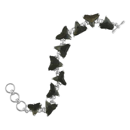 Starborn Fossil Shark Tooth Bracelet in Sterling Silver – RP - Regular Price