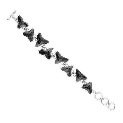 Starborn Fossil Shark Tooth Bracelet in Sterling Silver – RP - Regular Price