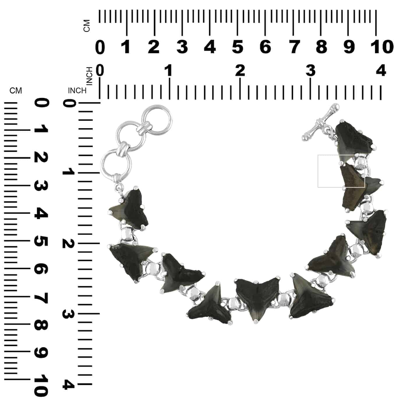 Starborn Fossil Shark Tooth Bracelet in Sterling Silver – RP - Regular Price