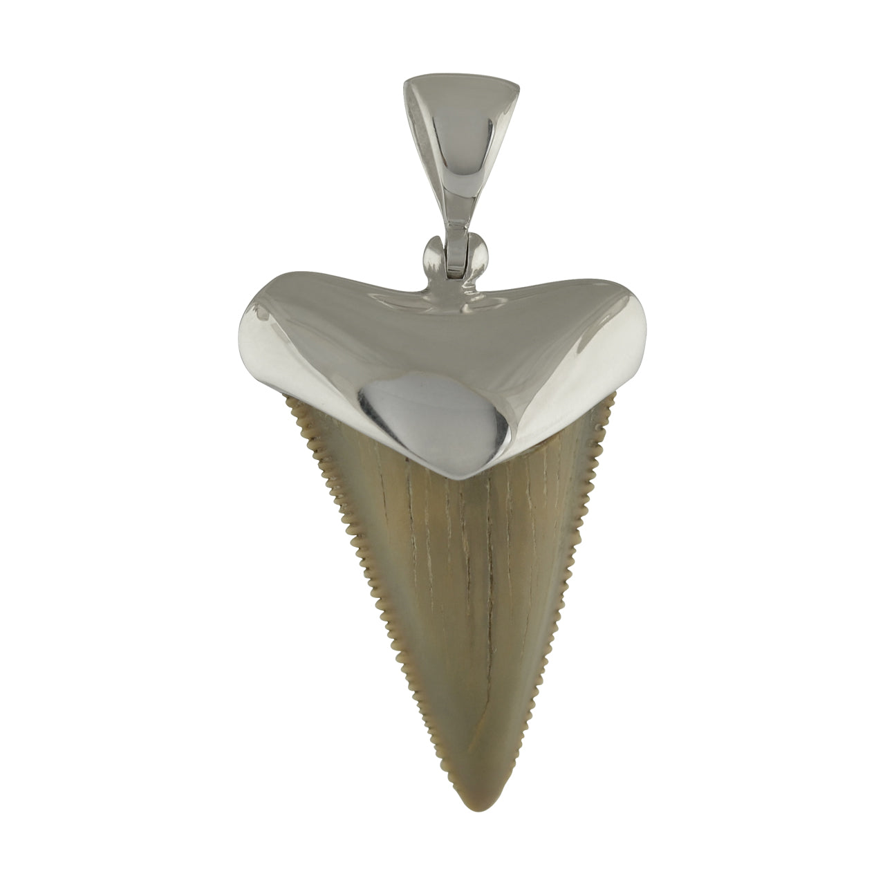 Starborn Fossil Shark Tooth Cap Setting Pendant in Fine Sterling Silver