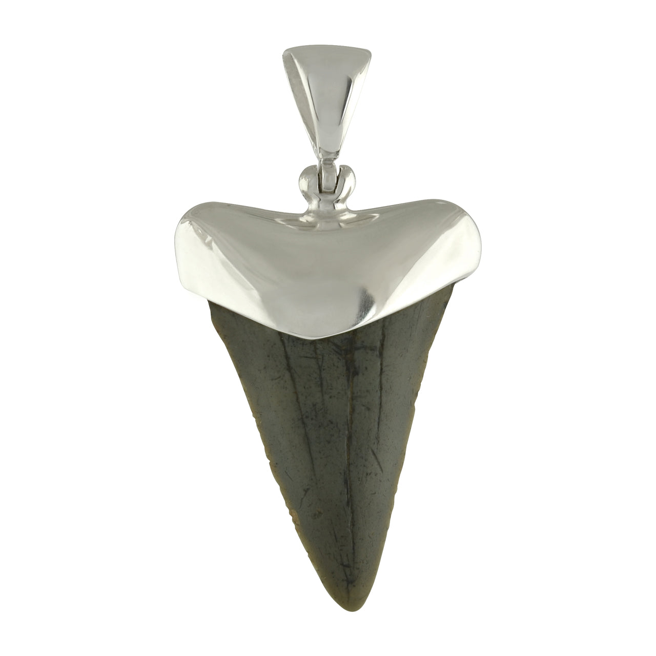 Starborn Fossil Shark Tooth Cap Setting Pendant in Fine Sterling Silver