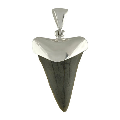 Starborn Fossil Shark Tooth Cap Setting Pendant in Fine Sterling Silver