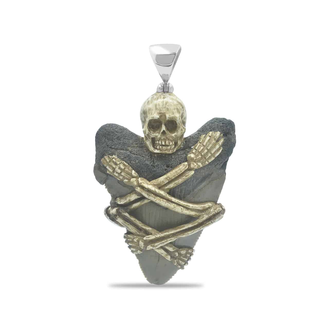 Starborn Fossil Shark Tooth Pendant with Decorative Skeleton Carving