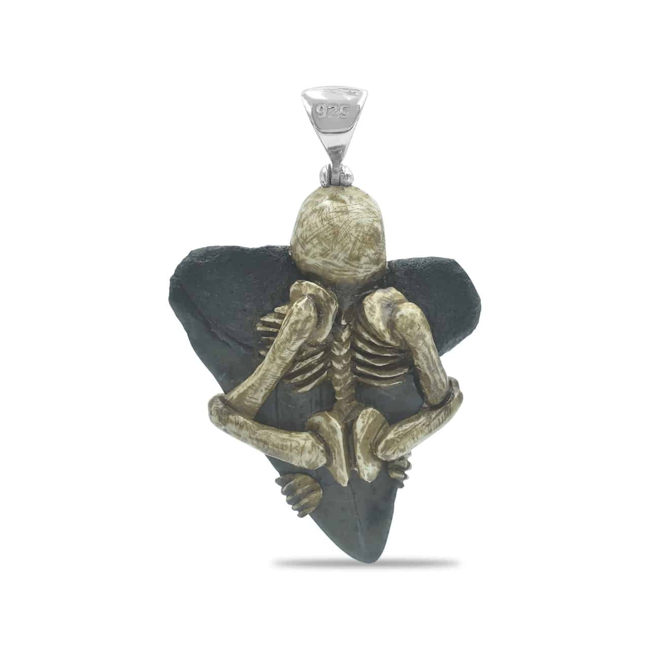 Starborn Fossil Shark Tooth Pendant with Decorative Skeleton Carving