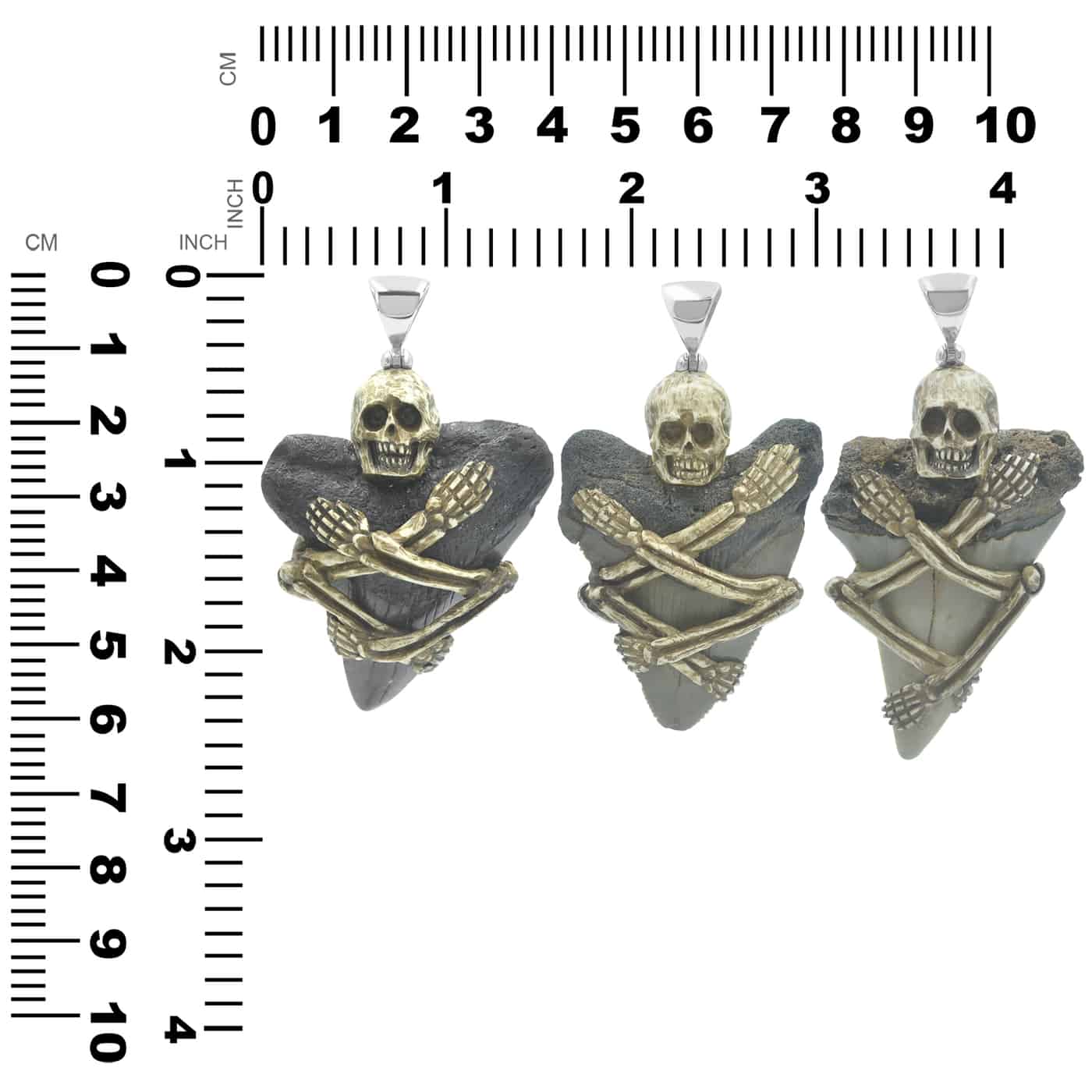 Starborn Fossil Shark Tooth Pendant with Decorative Skeleton Carving