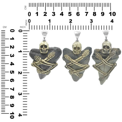 Starborn Fossil Shark Tooth Pendant with Decorative Skeleton Carving