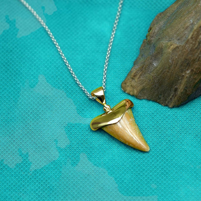 Starborn Creations 18k Gold Plated Brass Light Fossil Shark Tooth Pendant