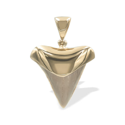 Starborn Creations 18k Gold Plated Brass Light Fossil Shark Tooth Pendant