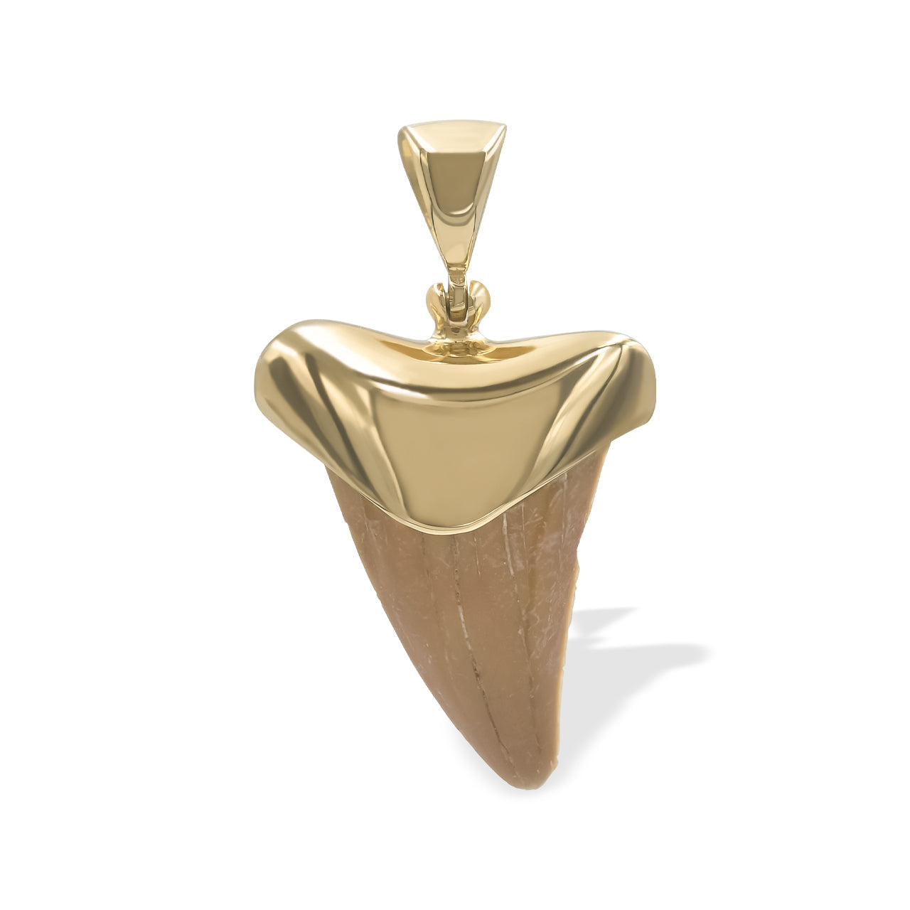 Starborn Creations 18k Gold Plated Brass Light Fossil Shark Tooth Pendant