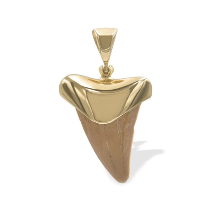 Starborn Creations 18k Gold Plated Brass Light Fossil Shark Tooth Pendant