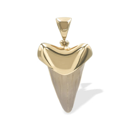 Starborn Creations 18k Gold Plated Brass Light Fossil Shark Tooth Pendant