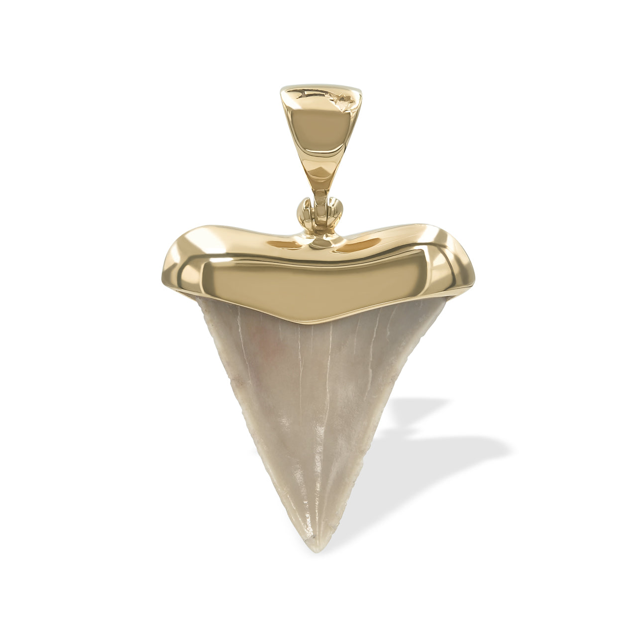 Starborn Creations 18k Gold Plated Brass Light Fossil Shark Tooth Pendant